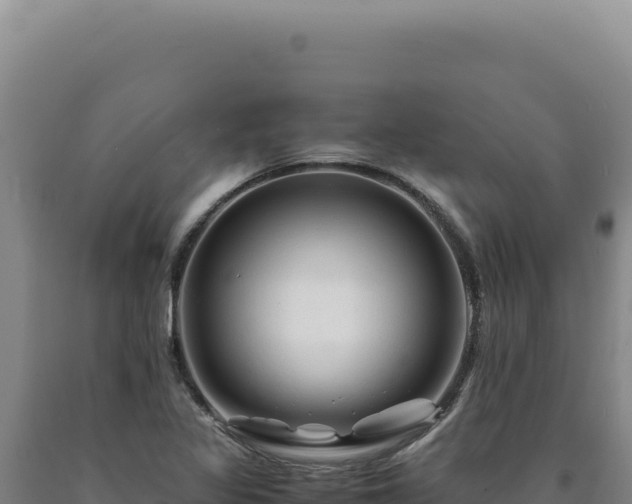 X0000090761317200707271458