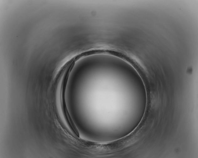 X0000090761318200707271458