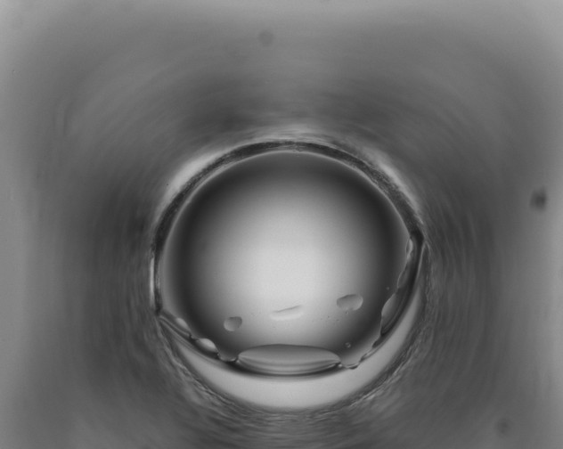 X0000090761320200707271458