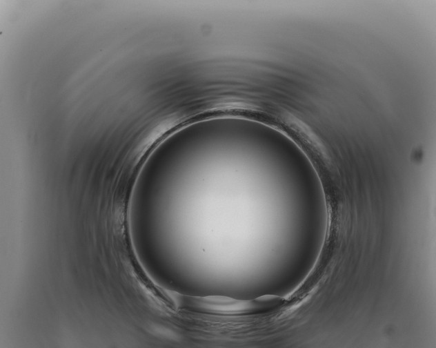 X0000090761321200707271458