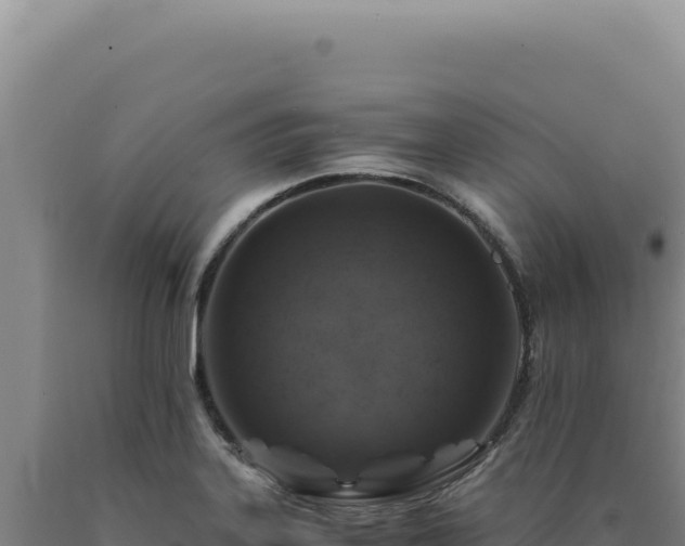 X0000090761323200707271458