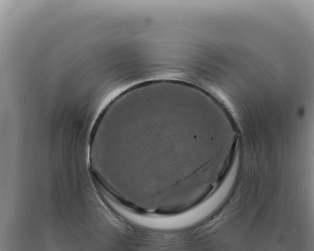 X0000090761324200707271458