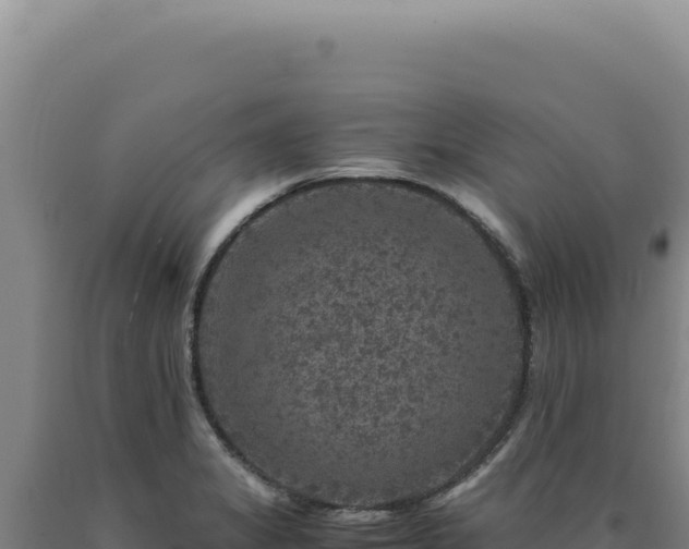 X0000090761325200707271458