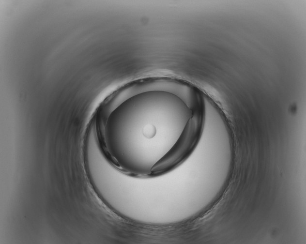 X0000090761326200707271458