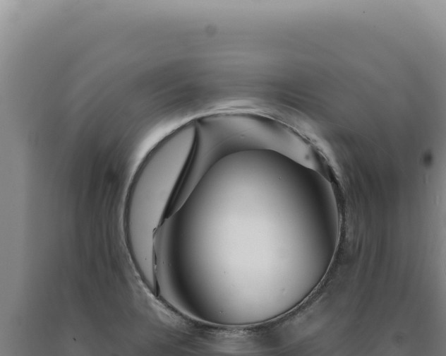 X0000090761328200707271458