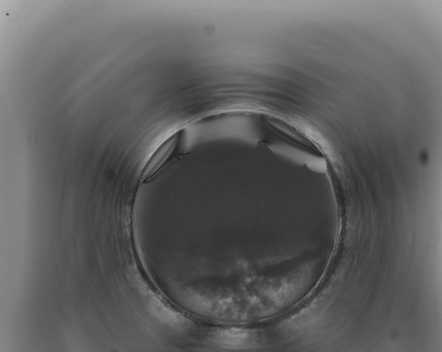 X0000090761329200707271458