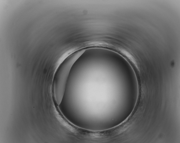 X0000090761330200707271458