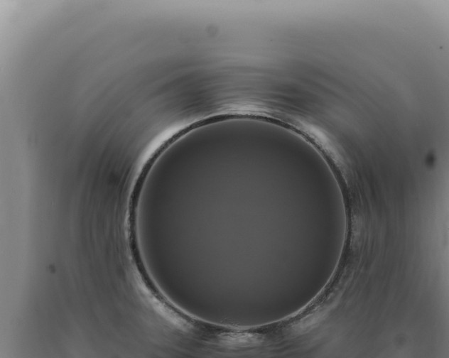 X0000090761331200707271458