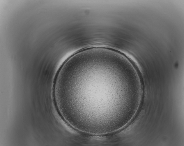 X0000090761333200707271458