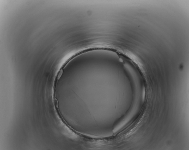 X0000090761334200707271458