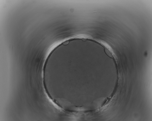 X0000090761335200707271458