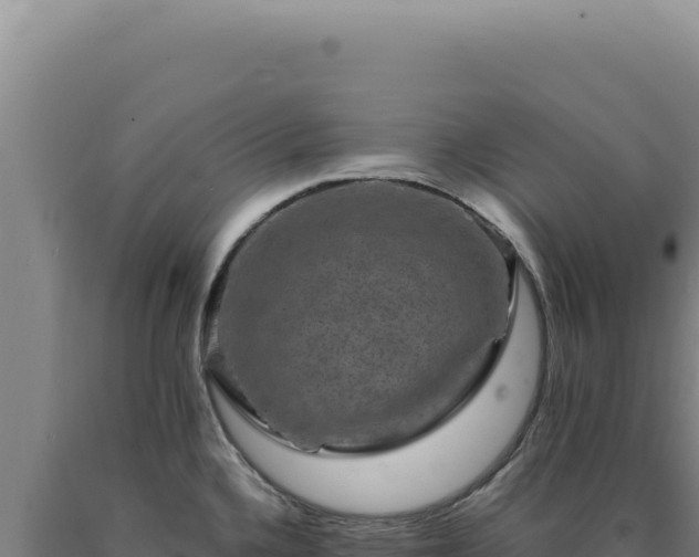 X0000090761336200707271458