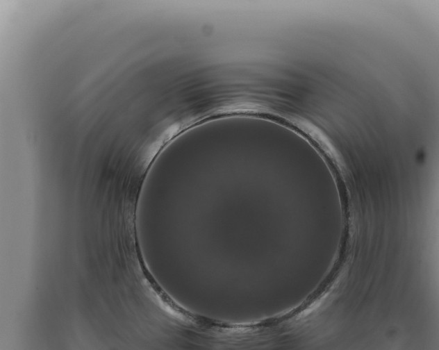 X0000090761337200707271458