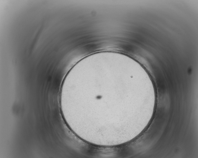 X0000090761338200707271458