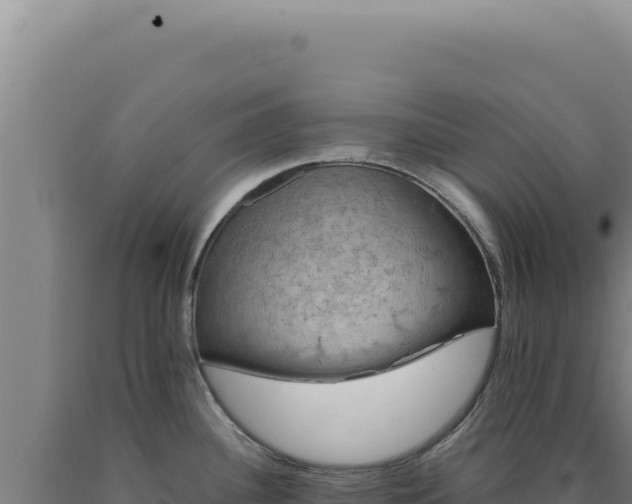 X0000090761340200707271458