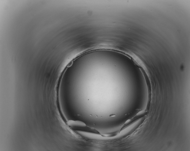 X0000090761341200707271458