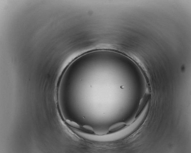 X0000090761342200707271458