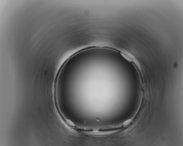 X0000090761343200707271458