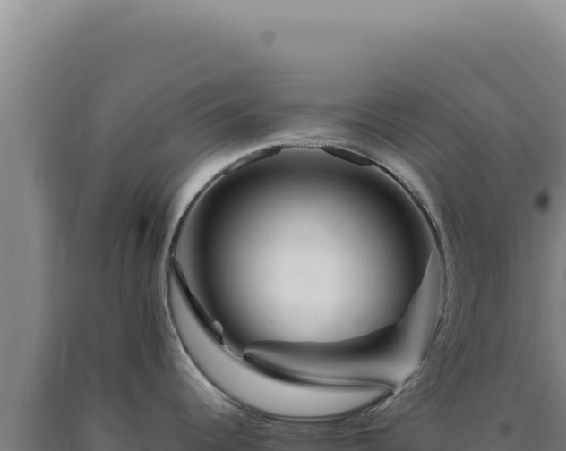 X0000090761344200707271458