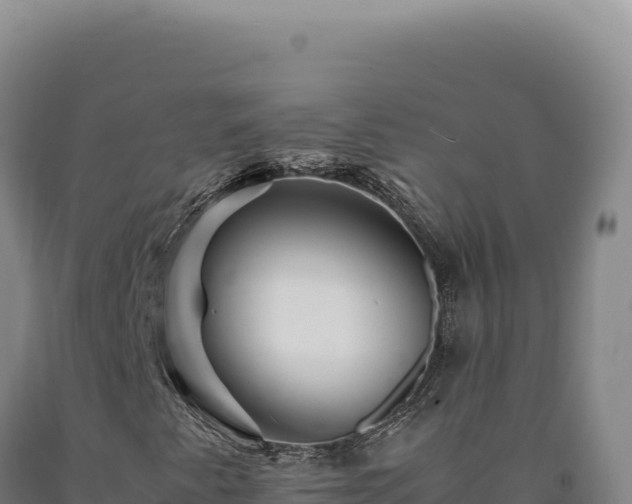 X0000090761345200707271458