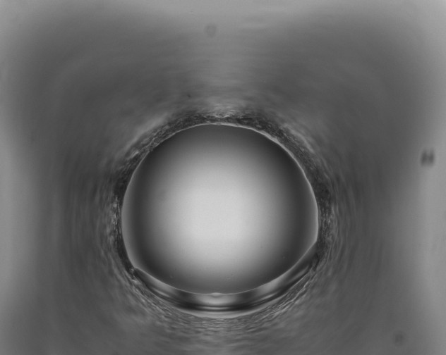 X0000090761349200707271457