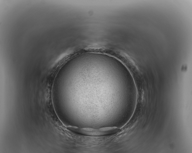 X0000090761350200707271457