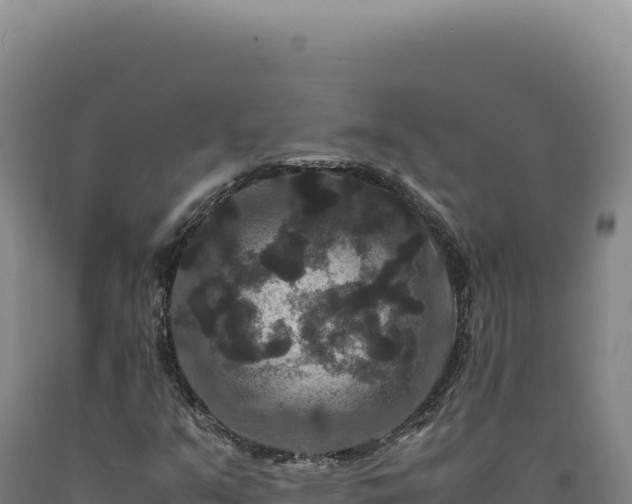 X0000090761351200707271457