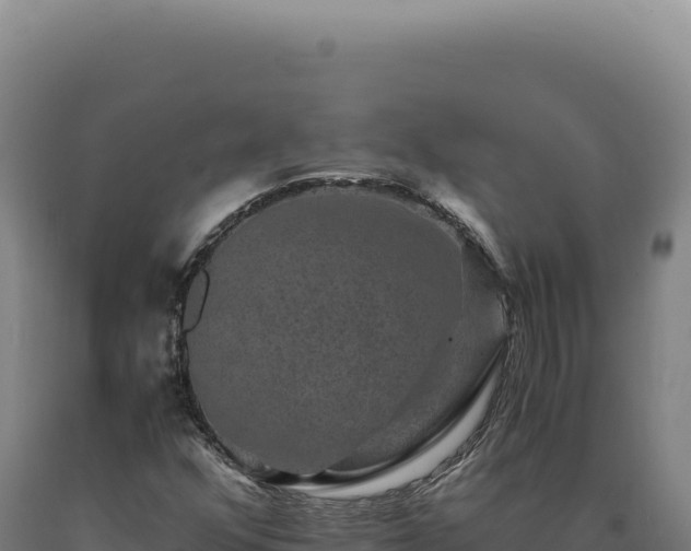 X0000090761352200707271457