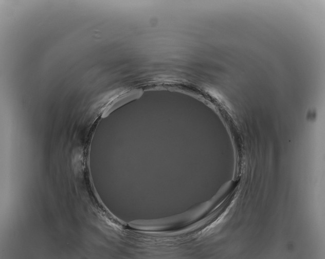 X0000090761353200707271457