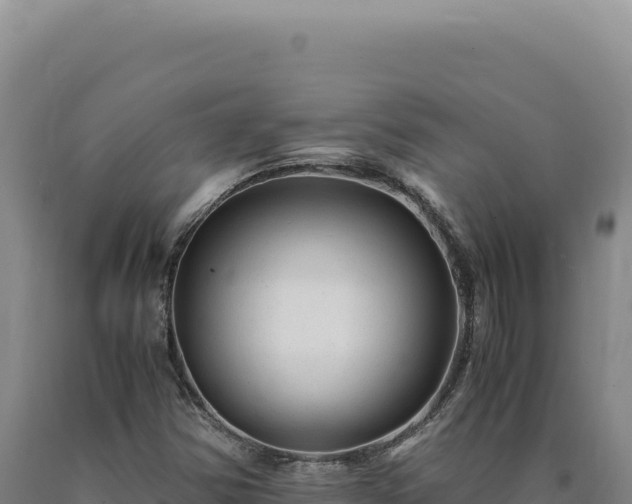 X0000090761354200707271457