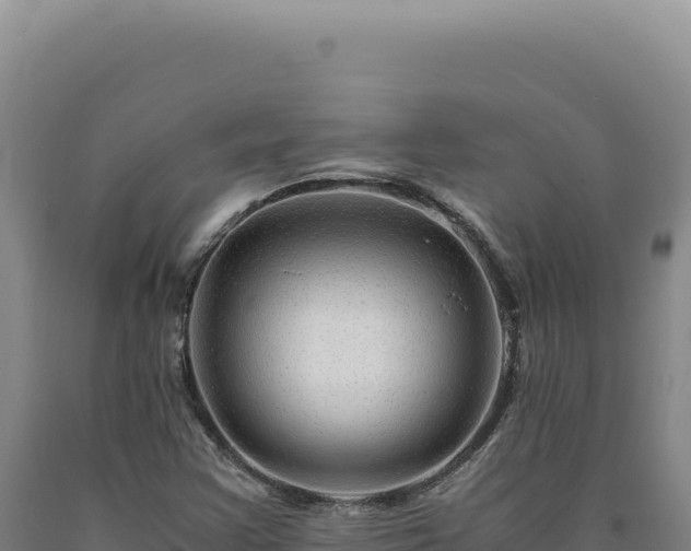 X0000090761355200707271457