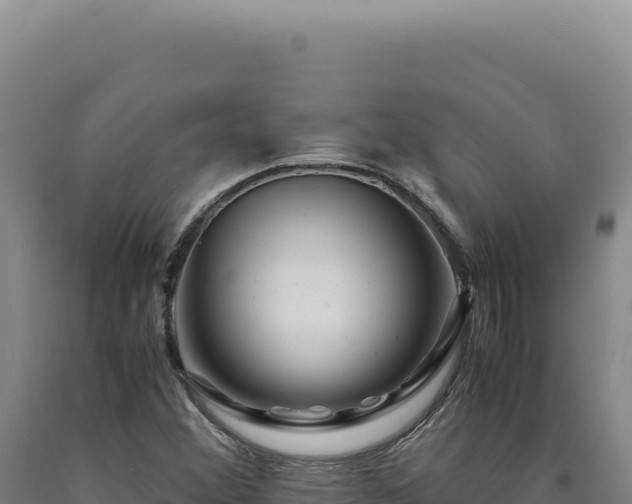 X0000090761356200707271457