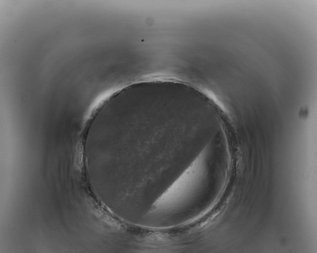 X0000090761358200707271457