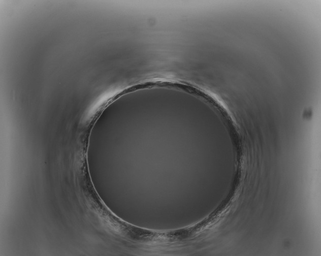 X0000090761359200707271457