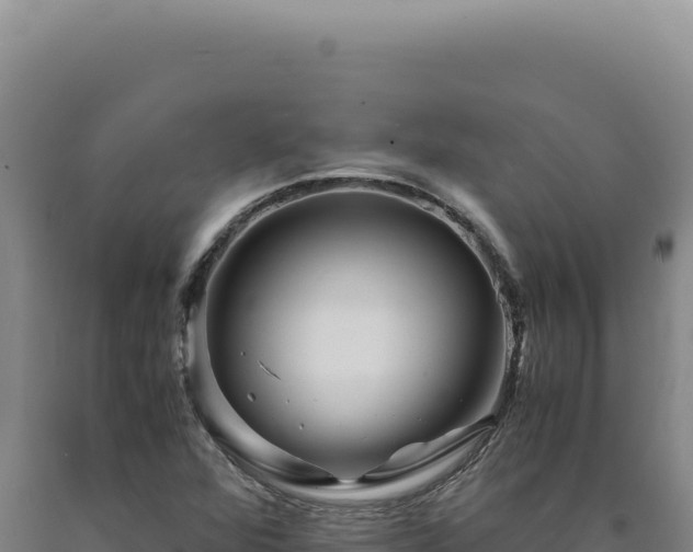 X0000090761360200707271457