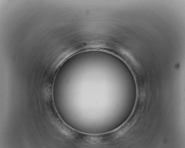 X0000090761361200707271457