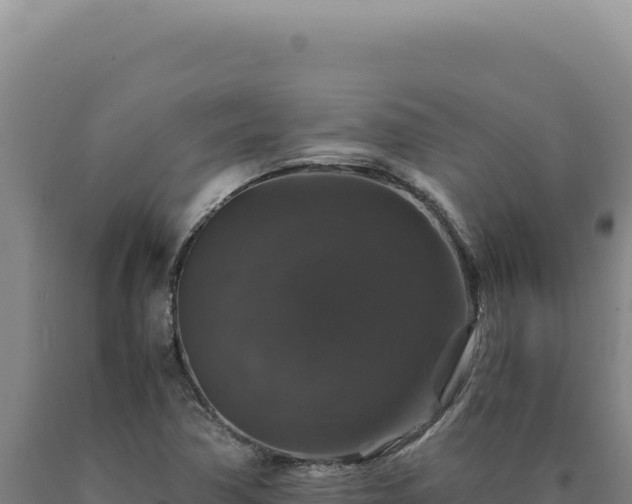 X0000090761362200707271457