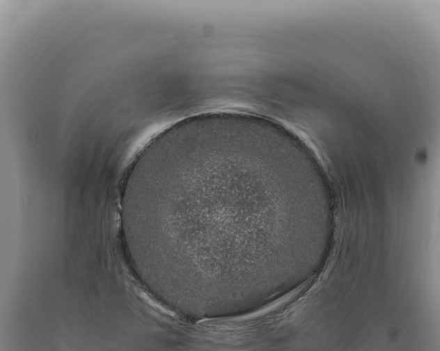 X0000090761363200707271457