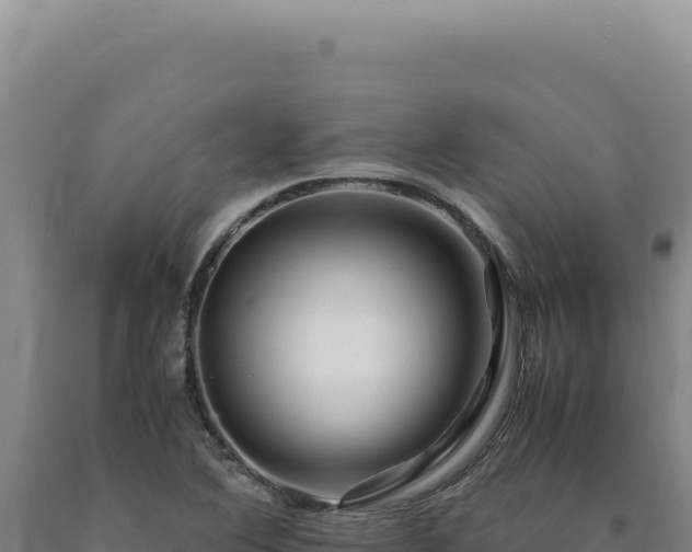 X0000090761364200707271457