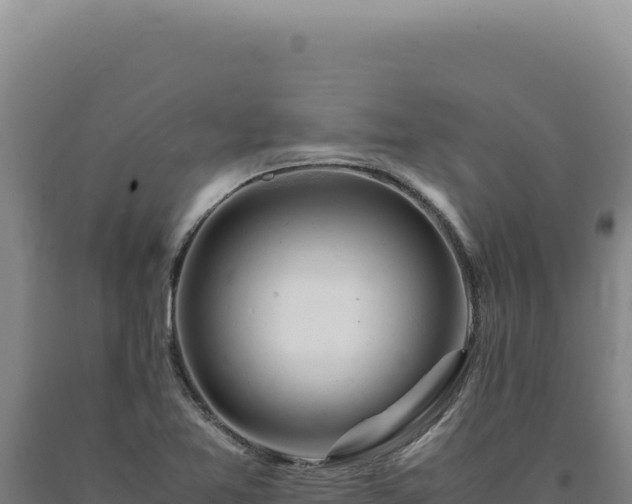 X0000090761365200707271457