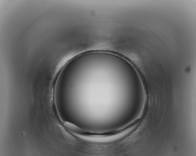 X0000090761366200707271457