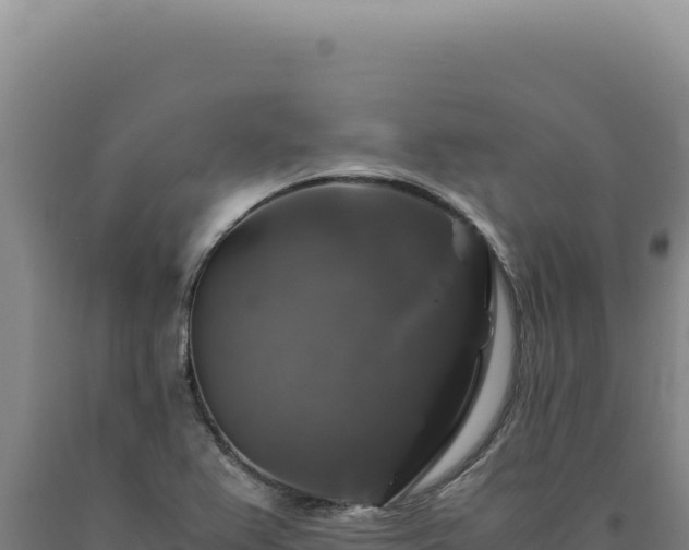 X0000090761367200707271457