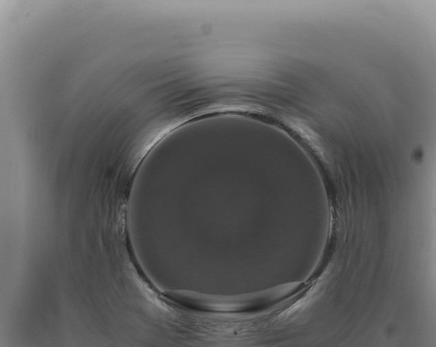 X0000090761369200707271457