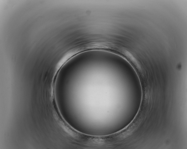 X0000090761370200707271457