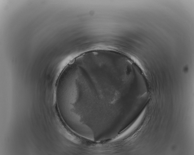 X0000090761371200707271457