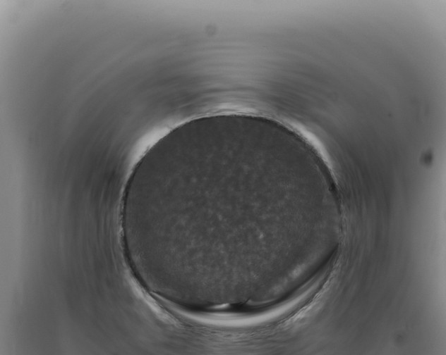 X0000090761373200707271457