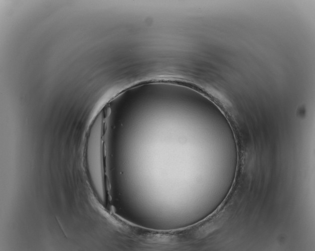 X0000090761374200707271457