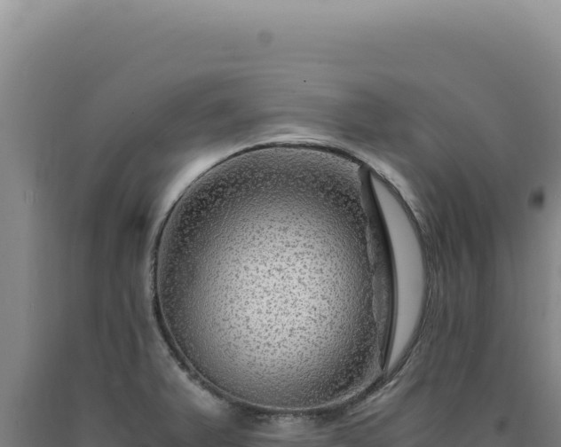 X0000090761375200707271457