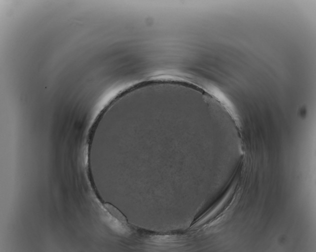 X0000090761376200707271457