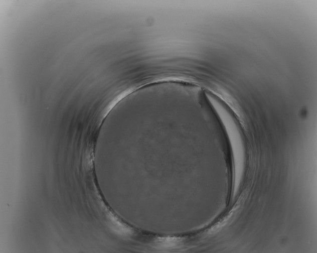 X0000090761377200707271457